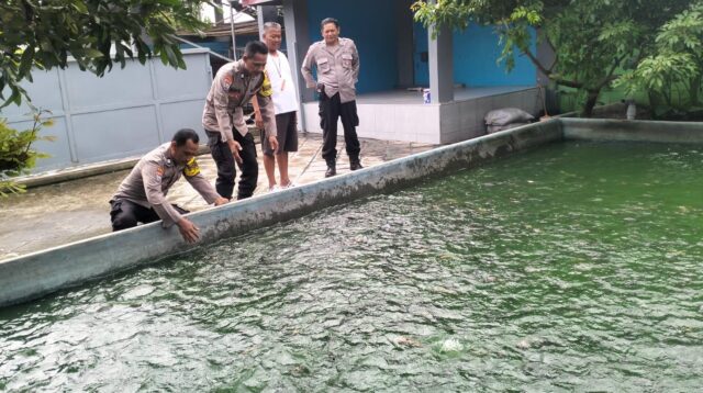 WhatsApp Image 2025-07-24 at 08.29.59